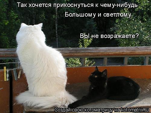 http://cs593.vkontakte.ru/u16920598/42166413/x_13c89b0d.jpg
